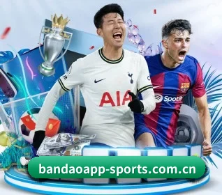 半岛网站 APP 界面